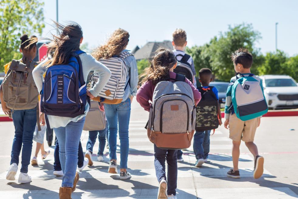 children in a crosswalk